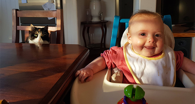 dinner time tips for newborns and pets